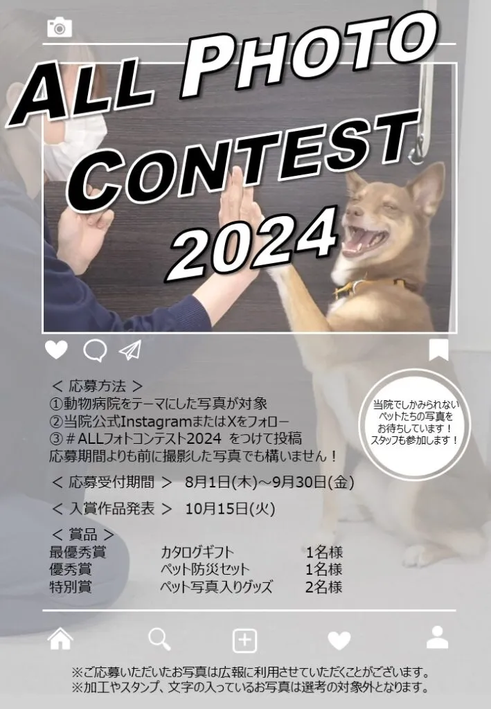 フォトコンテスト2024のポスター画像