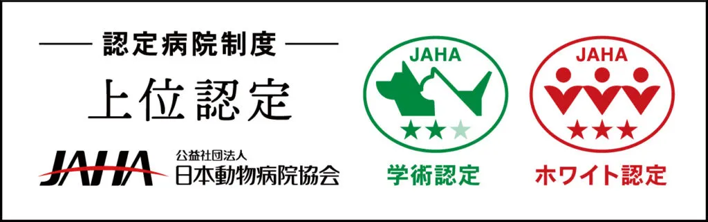 JAHA動物病院認定制度にて上位認定を取得しました！