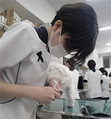 遠藤(愛玩動物看護師)