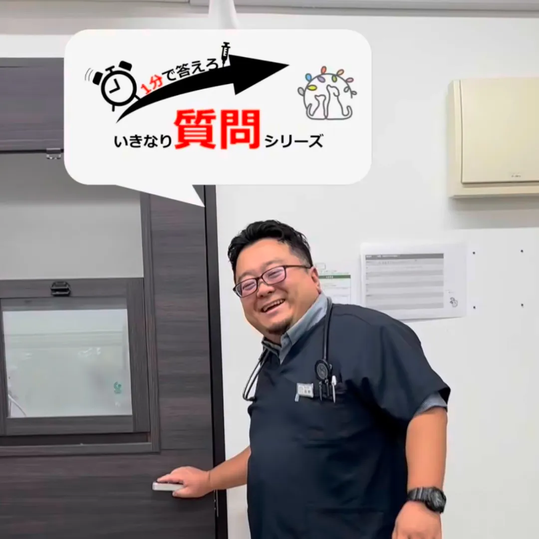 スタッフが答えます！ いきなり質問シリーズ