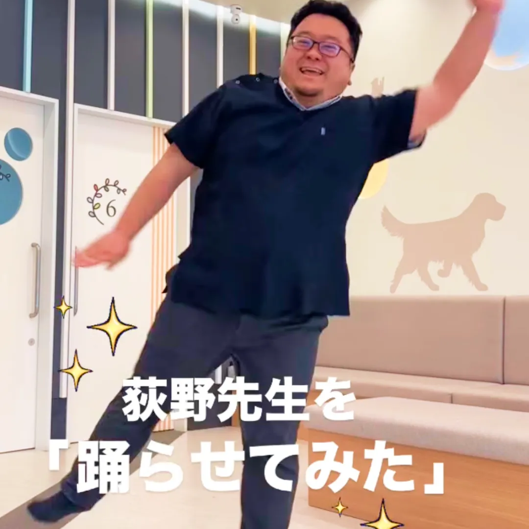 スタッフの こんなおちゃめな姿も！？